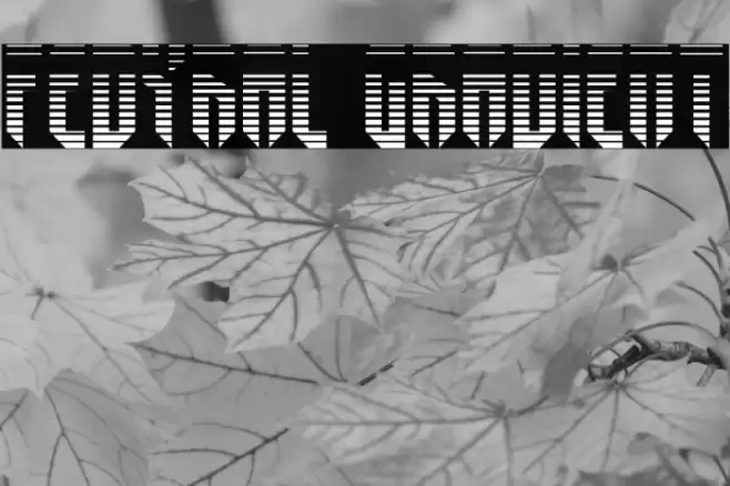 Fedyral Gradient Font examples