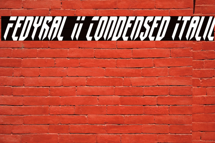 Fedyral II Condensed Italic Fonte examples