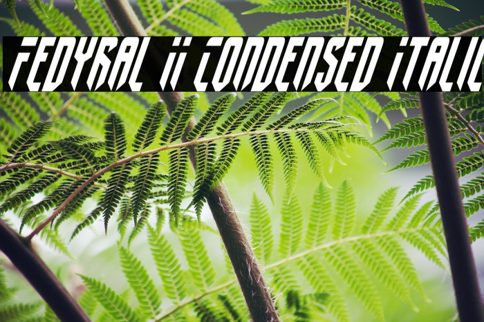 Fedyral II Condensed Italic Fonte examples
