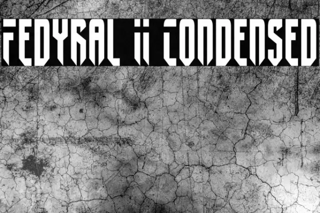 Fedyral II Condensed Font examples