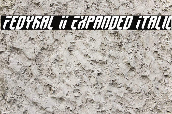 Fedyral II Expanded Italic Fonte examples