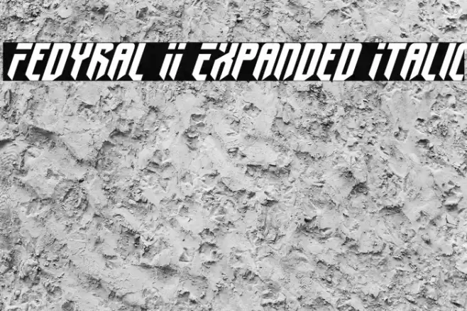 Fedyral II Expanded Italic Fonte examples