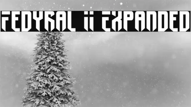 Fedyral II Expanded Font examples