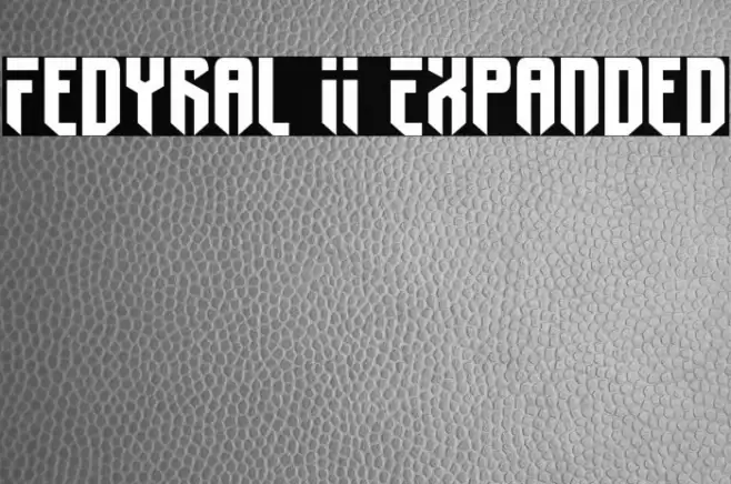 Fedyral II Expanded Font examples