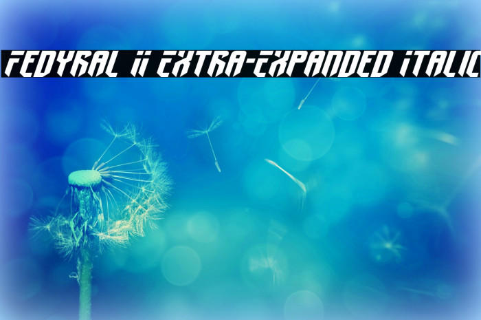 Fedyral II Extra-Expanded Italic Font examples
