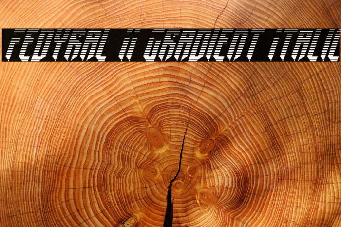 Fedyral II Gradient Italic Font examples