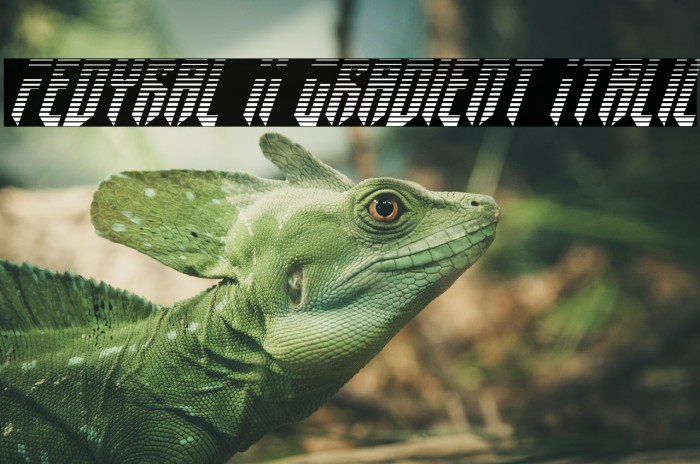 Fedyral II Gradient Italic Font examples