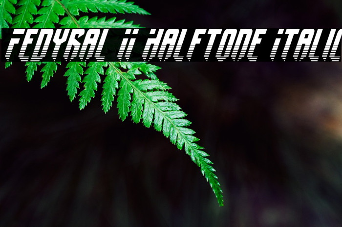 Fedyral II Halftone Italic Font examples