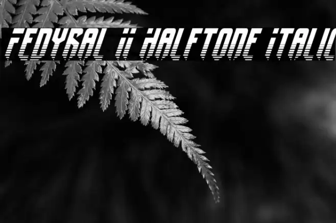 Fedyral II Halftone Italic Fonte examples