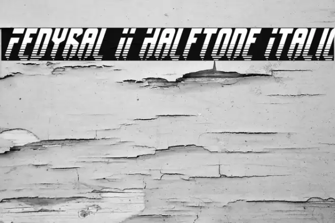 Fedyral II Halftone Italic Fonte examples