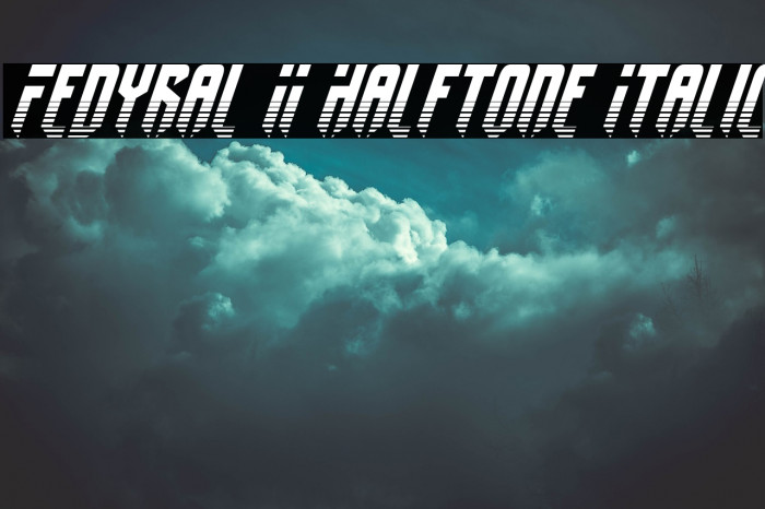 Fedyral II Halftone Italic Font examples