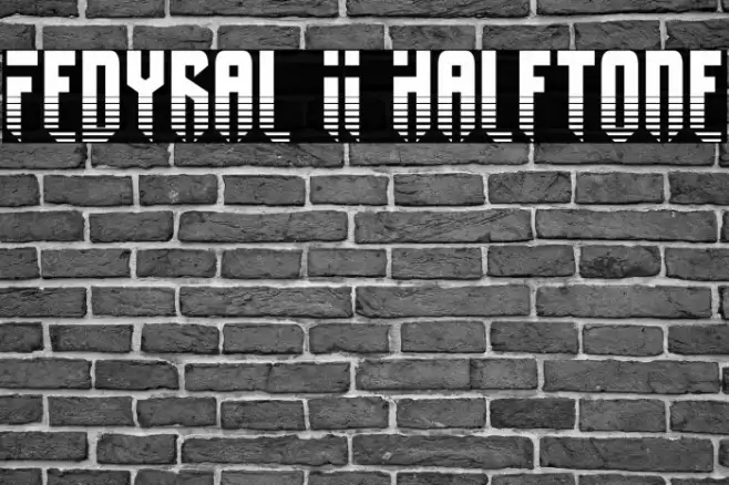 Fedyral II Halftone Fonte examples