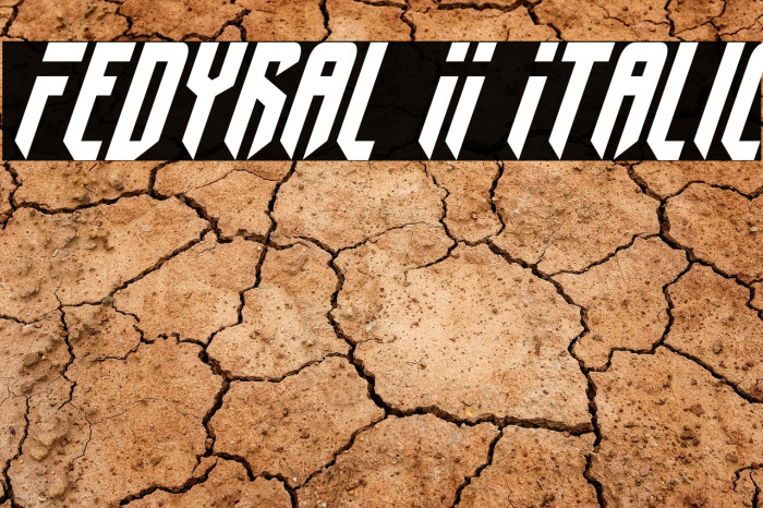 Fedyral II Italic Font examples