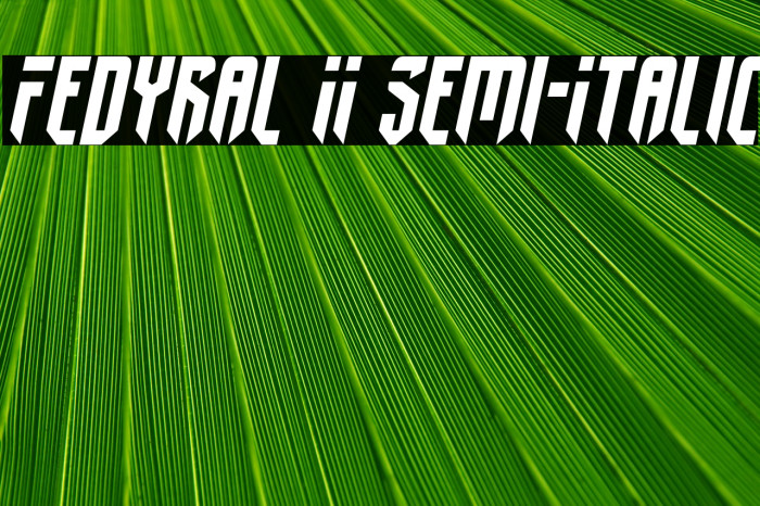 Fedyral II Semi-Italic Font examples