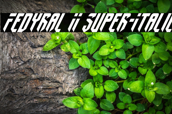 Fedyral II Super-Italic Font examples