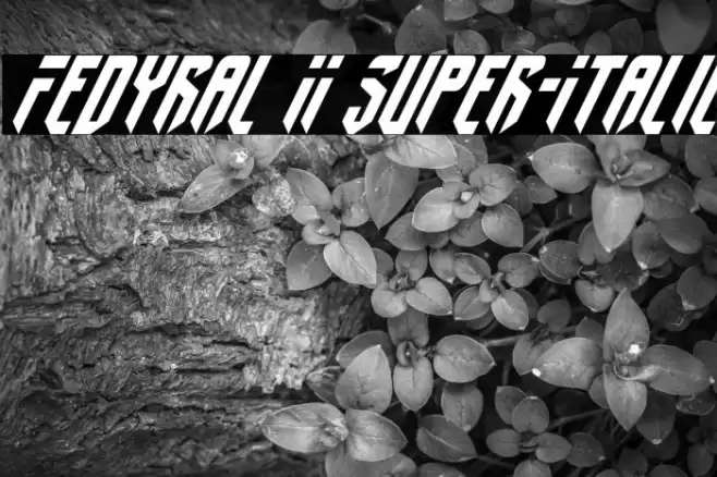 Fedyral II Super-Italic Fonte examples