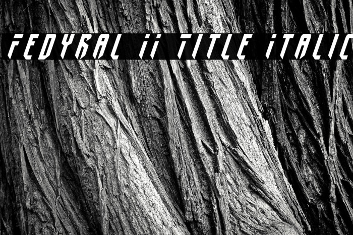Fedyral II Title Italic Font examples