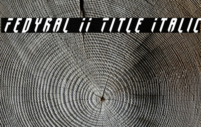 Fedyral II Title Italic Font examples