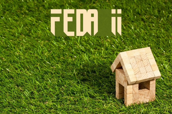 Fedyral II Font examples