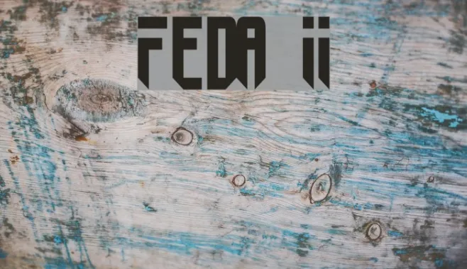 Fedyral II Example 3