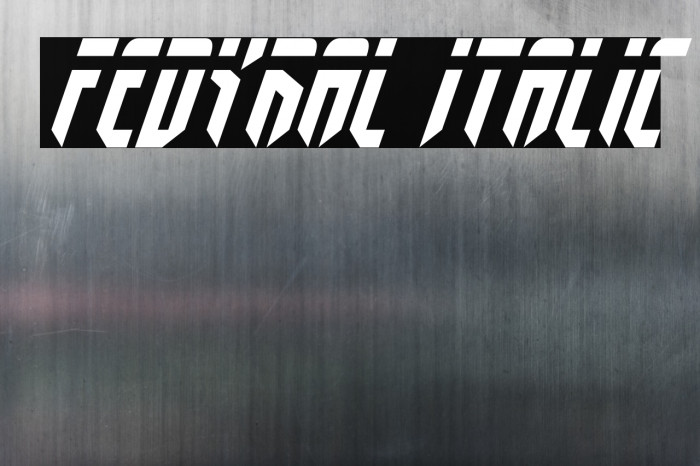 Fedyral Italic Example 1