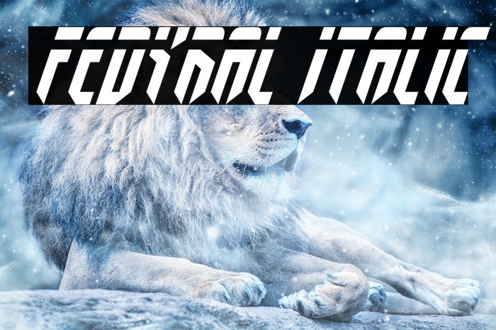 Fedyral Italic Example 3