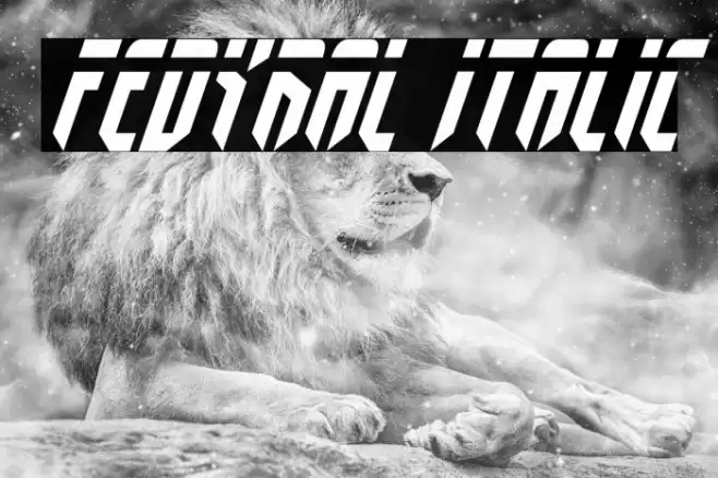 Fedyral Italic Font examples