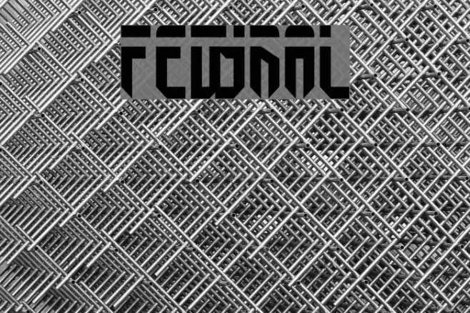 Fedyral Fonte examples