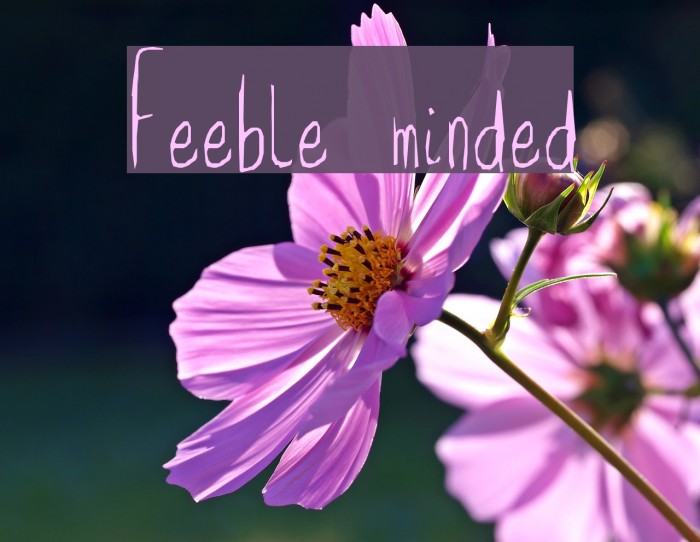 feeble-minded-font-ffonts