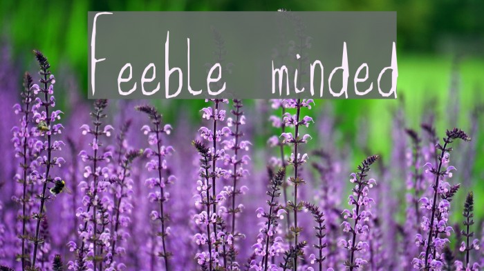 Feeble minded Font examples
