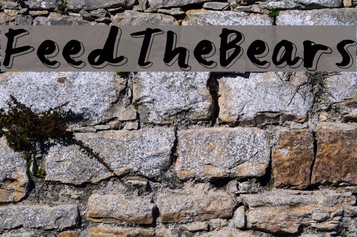 Feed The Bears Font examples