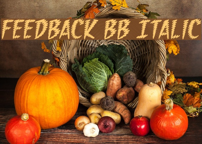 Feedback BB Italic Font examples