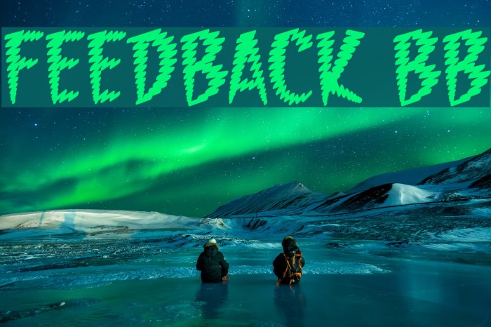 Feedback BB Font examples
