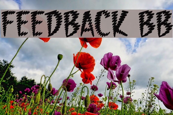 Feedback BB Font examples