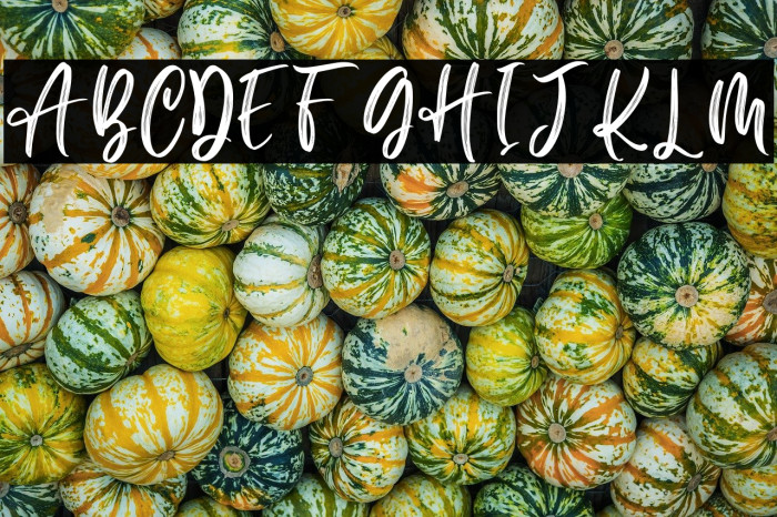 Feel Better Personal Use Example 1