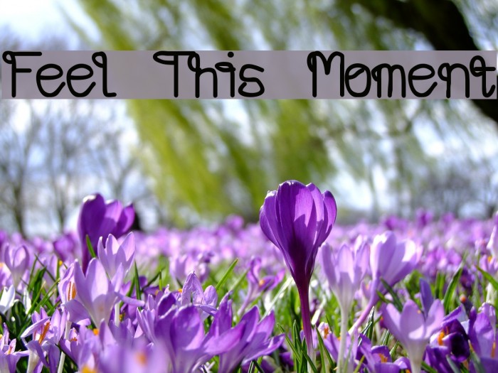 Feel This Moment Font examples