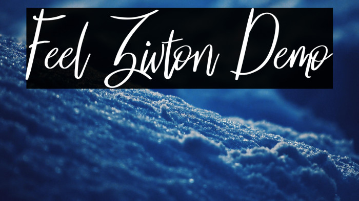 Feel Zivton Demo Example 1