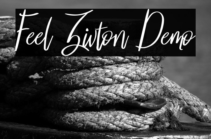 Feel Zivton Demo Example 2