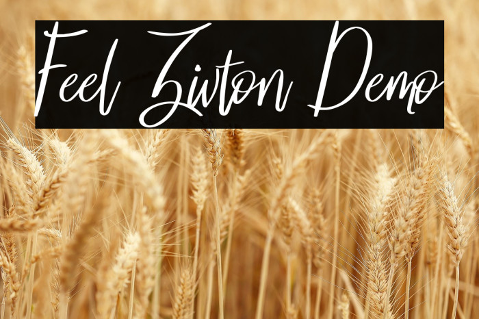 Feel Zivton Demo Example 3