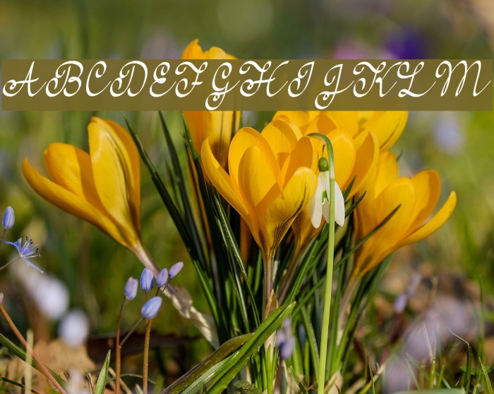 FeelMyHeart Example 1