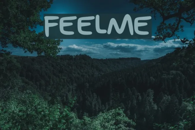 Feel_Me Example 2