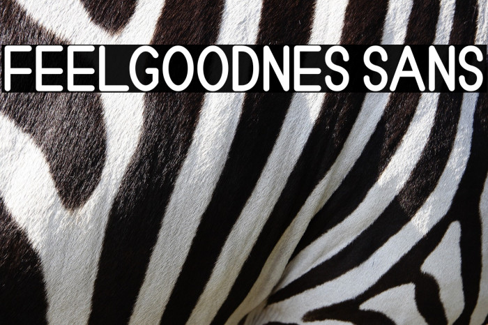 Feelgoodnes sans Example 2