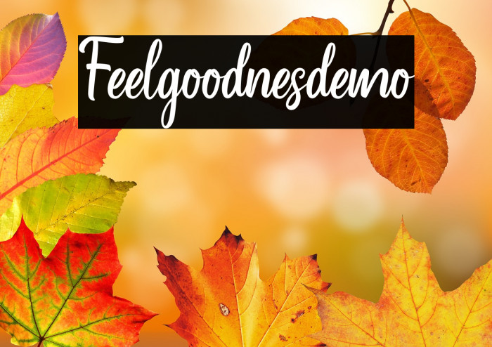 Feelgoodnes_demo Example 1
