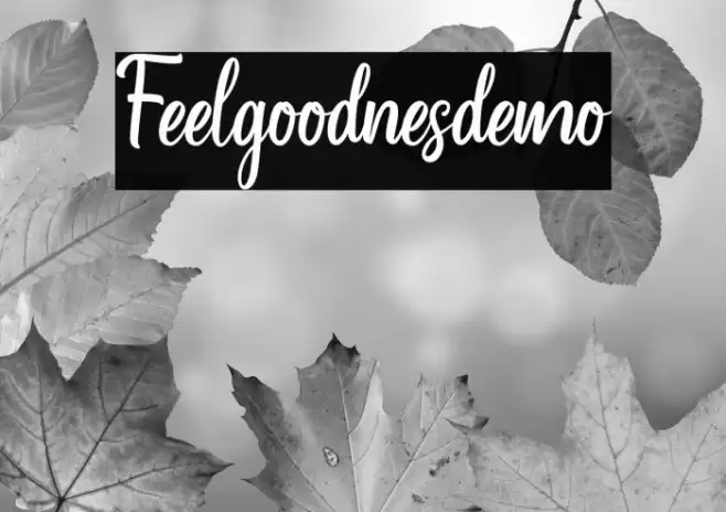 Feelgoodnes_demo Font examples