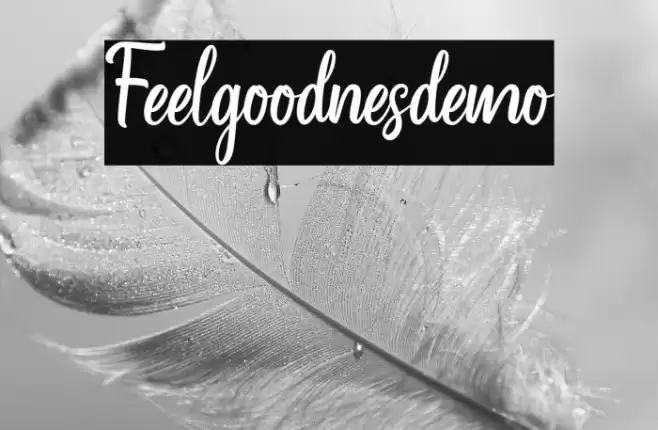 Feelgoodnes_demo Font examples