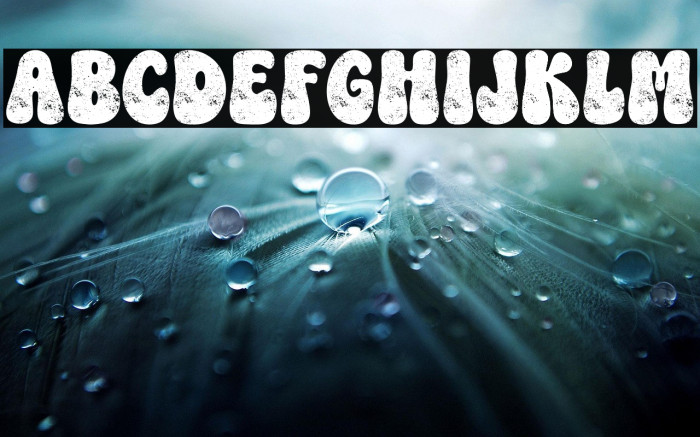 Feelin Jolly Regular Example 1