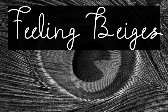 Feeling Beiges Font examples