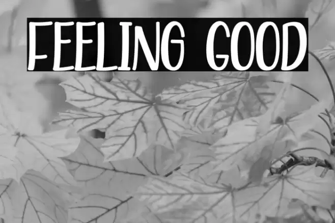 Feeling Good Font examples