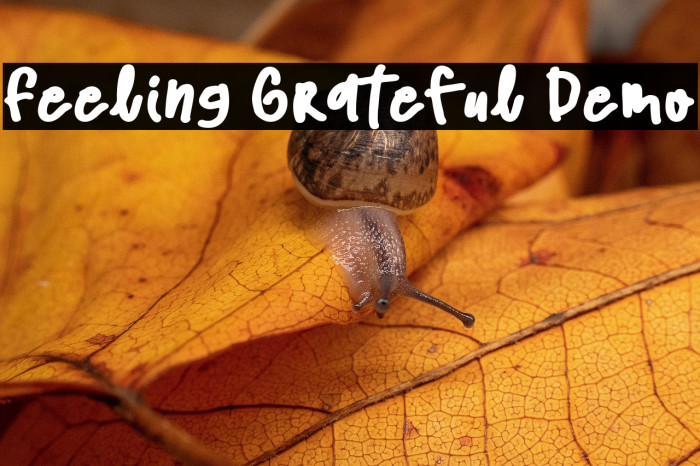 Feeling Grateful Demo Example 1