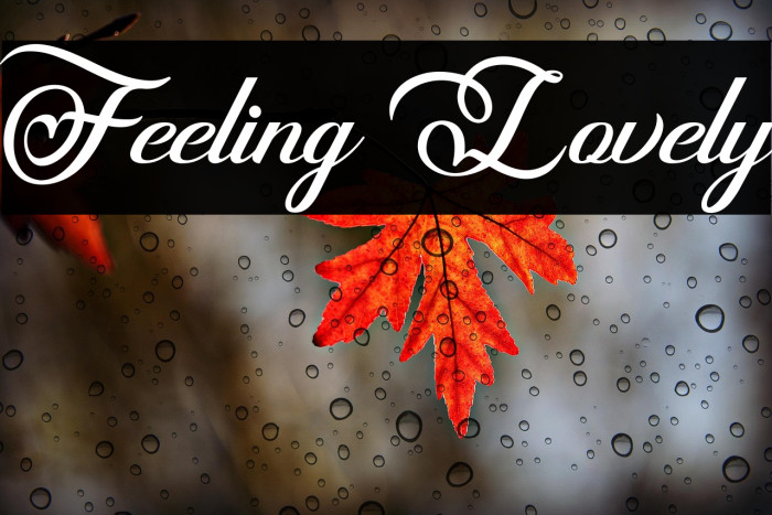 Feeling Lovely Example 1